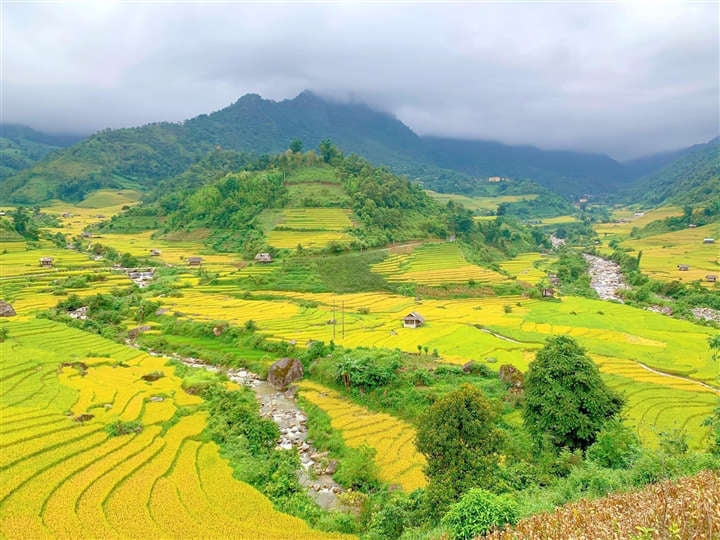 LAND ALLOCATION AND LAND LEASE NOT THROUGH AUCTION